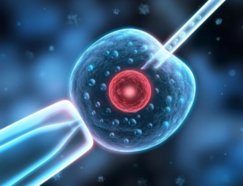 在松滋申请供卵做试管婴儿生下的宝宝是自己的孩子吗？