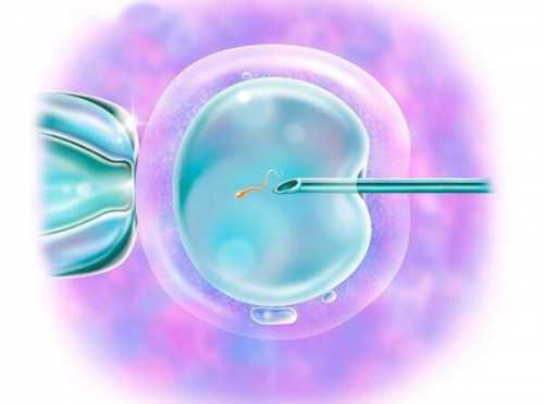 <strong>南昌哪里能代怀，南昌供卵第三代试管代怀生子医院排名？附第三代试管费用成</strong>