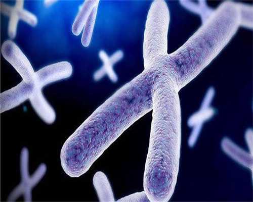 南昌三代试管婴儿医院排名？附成功率明细？