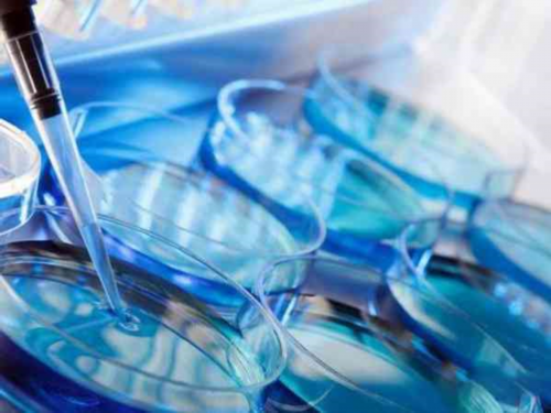 南昌地区有哪些私立的机构可以做试管技术?南昌做试管哪家?