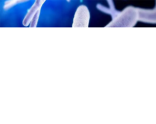 南昌试管婴儿医院在哪里!南昌市试管婴儿哪里好!