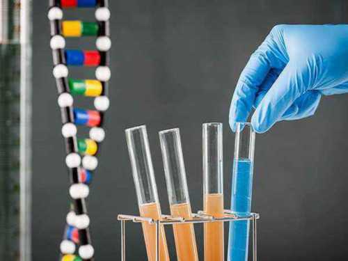 武汉试管供卵成功率高吗，武汉供卵正规机构（武汉康健供卵）