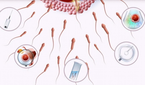 南昌三代试管包生男孩包成功价格是多少？20万够吗？