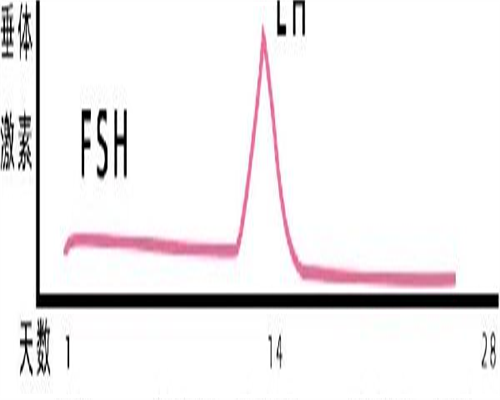 佛山第三代试管包生男孩多少费用_代孕试管助孕,sct确认值偏高2秒会导致试管移