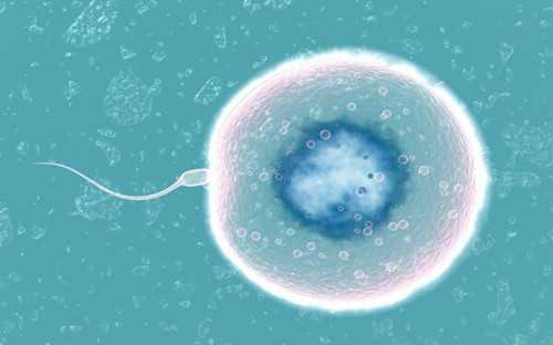 不孕生化原因可能找到了，喜提二甲双瓜