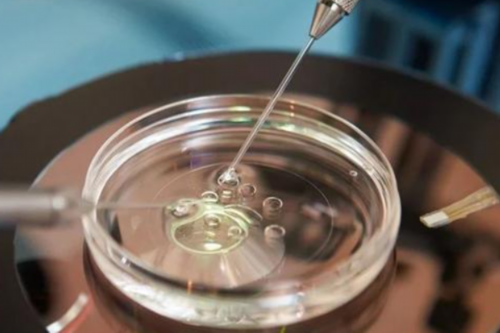 北京供卵中介机构，品牌影响力!北京供卵试管机构排名