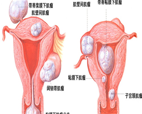 南昌春晖供卵试管,2026南昌哪里做试管婴儿试管不用等?附南昌试管婴儿试管包