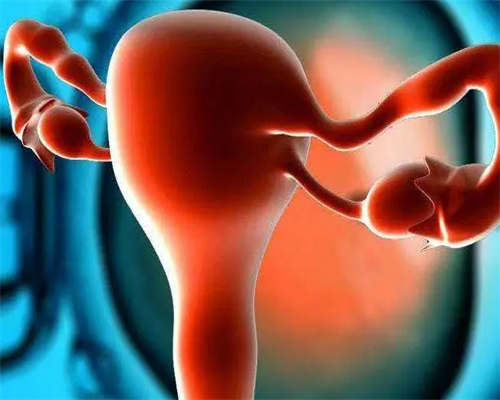 武汉专业供卵试管哪家好，武汉供卵哪家好（武汉哪里做供卵）