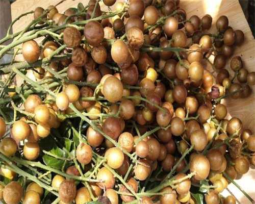 上饶检查不孕不育哪个生殖科医院好?