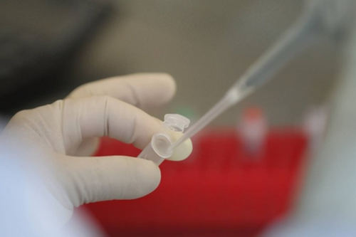 代孕供卵中心_代孕试管中心官网,备孕要不要做染色体检查 染色体异常胎停后如