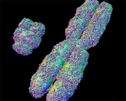 南昌第3代试管全部明细费用