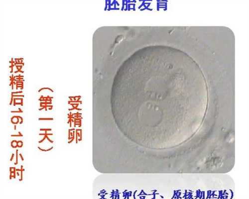 正规的供卵代孕哪里好,宝宝喉咙有痰吃什么药?小孩喉咙有痰可以打新冠疫苗