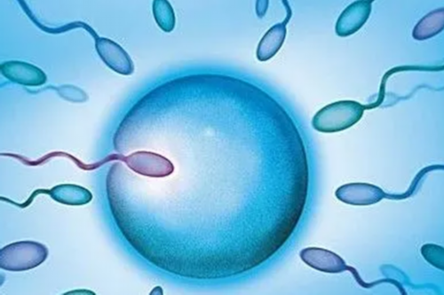 2026青岛试管婴儿移植成功率高的医院是哪个？