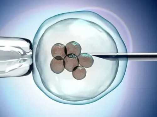 多囊卵巢综合症患者如何解决供卵试管问题