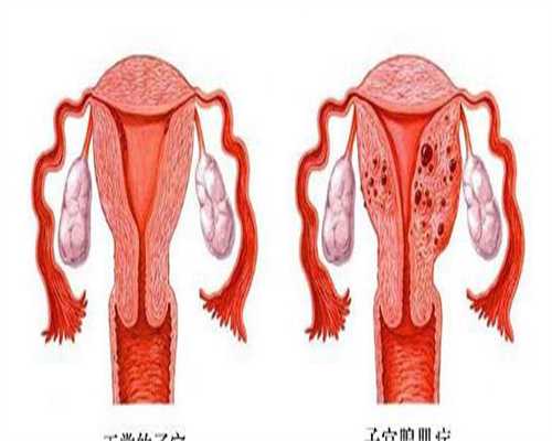 染色体缺失做三代试管(男方染色体倒位能不能生出健康的宝宝)