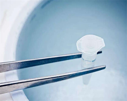 女性排毒吃什么 九种食物帮您排毒养颜