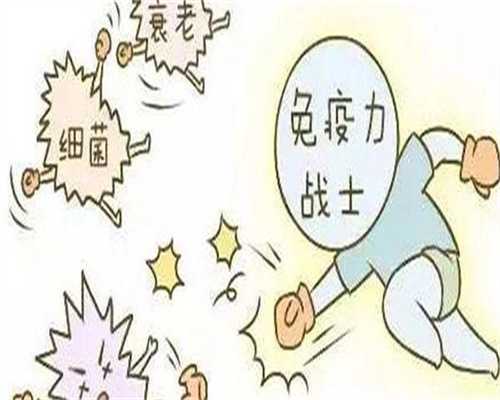 试管移植b超上看到一个白点带尾巴是什么